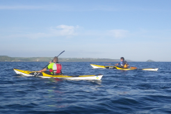Clearance Deals on Touring & Sea Kayaks