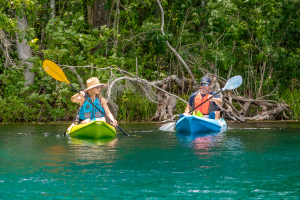 Sit On Top Kayak Shop in Hamphire UK