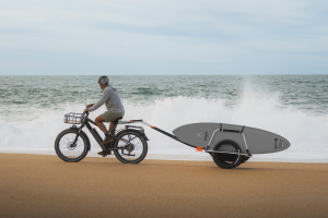 Thule Reacha Bike Trailer Shop UK