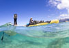 Watching the wildlife while paddling a Hobie Revolution 13