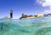 Watching the wildlife while paddling a Hobie Revolution 13
