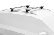 Car with Raised Rail Roof system fitted